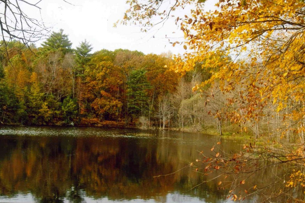 Frost Farm Conservation Land » Sudbury