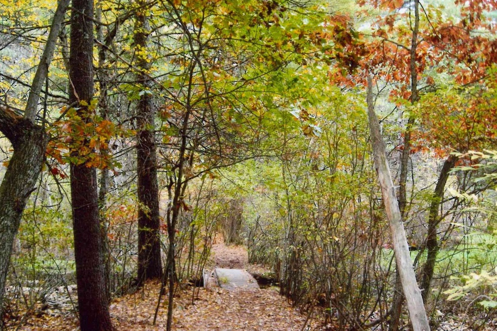 Haynes Meadow Conservation Land » Sudbury