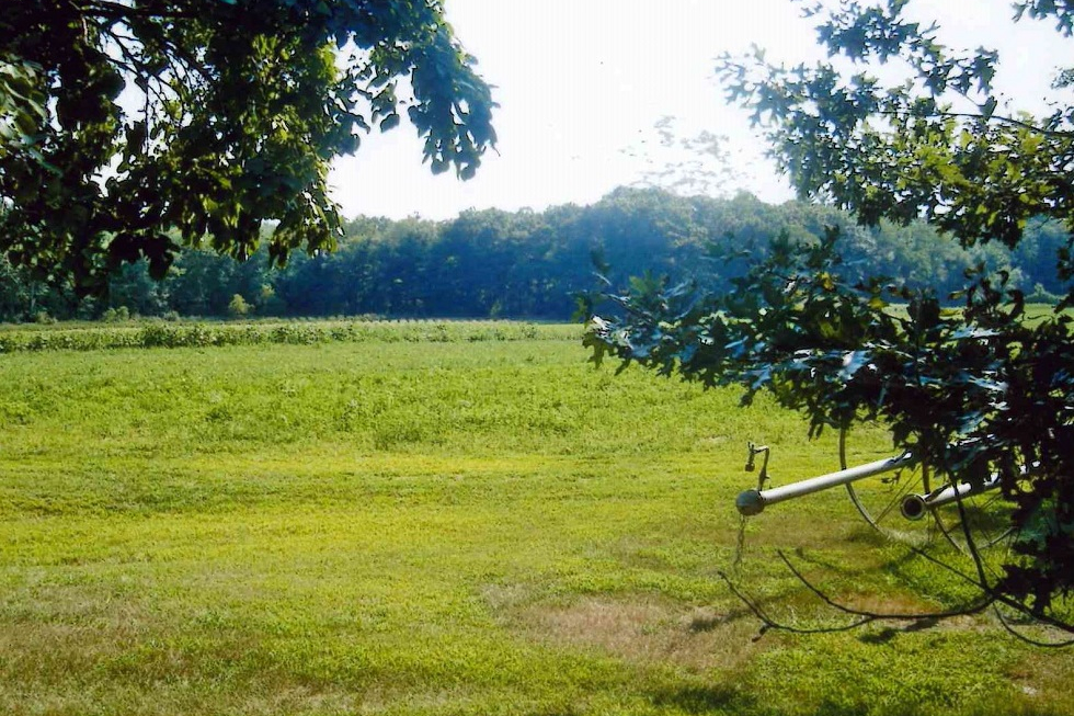 Lincoln Meadows Conservation Land » Sudbury