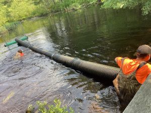 Pipe in water