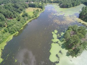 Carding Mill Pond - 8