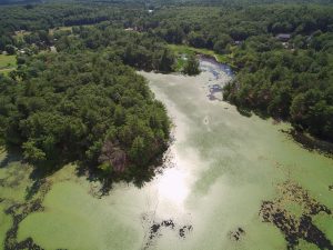 Carding Mill Pond - 7