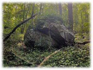 Glacial Erratic on Nobscot