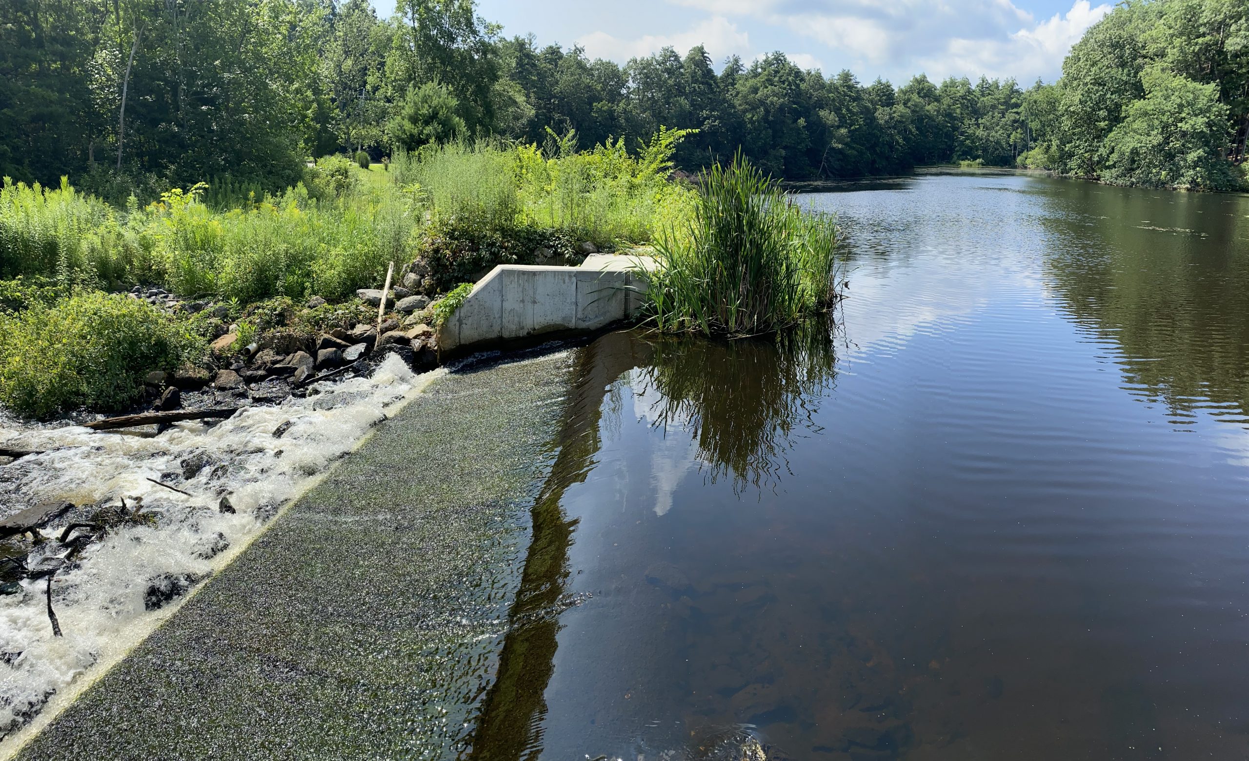 Stearns Mill