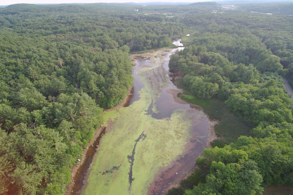 Grist Mill Treatment Photo 7