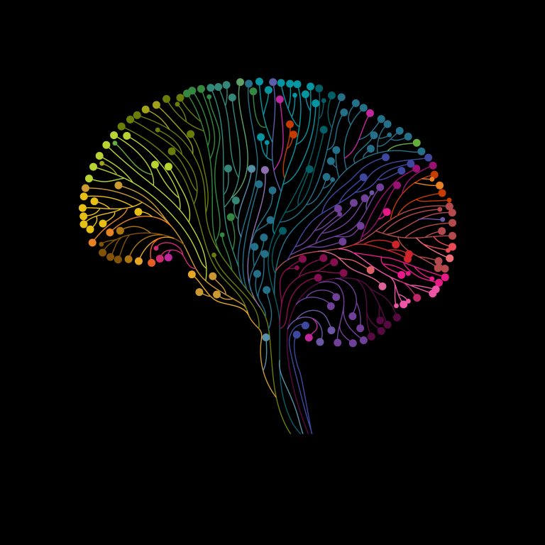 On a black background a symbolic image of the human brain made up of strands with nodes or small balls at the brain end inrainbow of colors