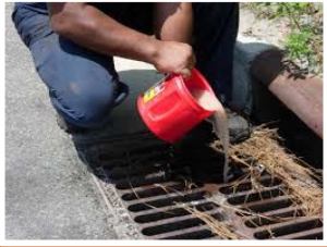 A man pours something down a storm drain