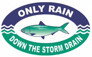 Only rain down the storm drain