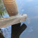 Close-up of a timber brace disconnected from a vertical support pile and floating slightly misaligned in the water, indicating failed hardware or connection.