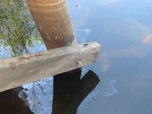 Close-up of a timber brace disconnected from a vertical support pile and floating slightly misaligned in the water, indicating failed hardware or connection.