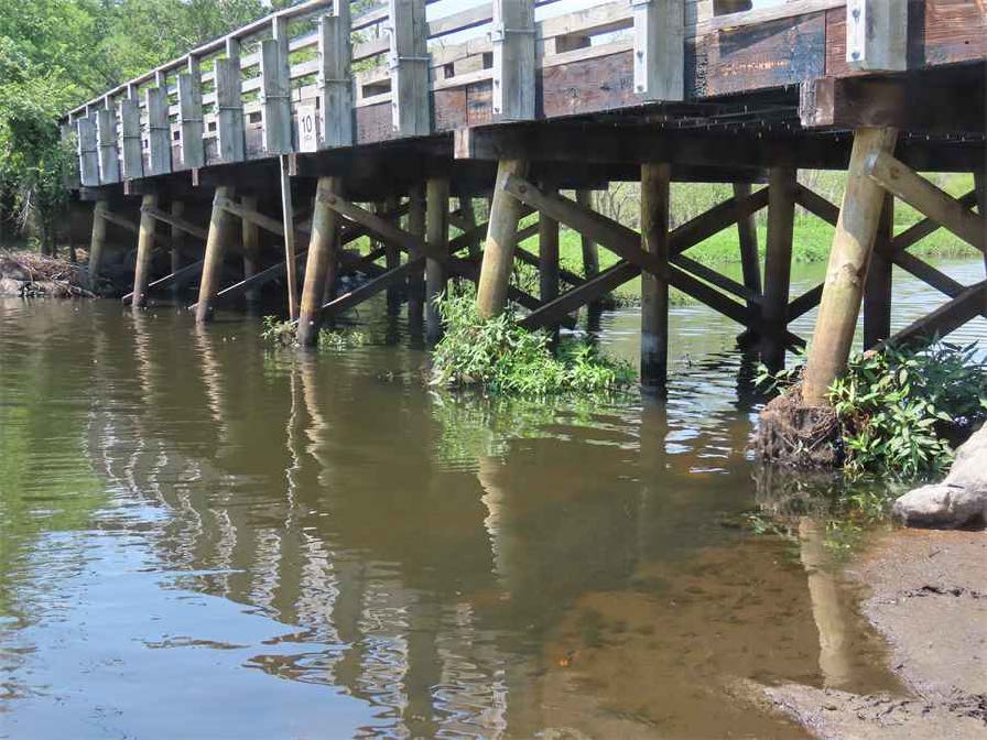 Bridge foundation showing vegetation and debris accumulated around multiple timber piles, indicating blockage and possible scour or obstruction.