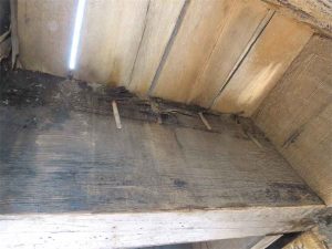 Close-up view of two timber beams joined by metal plates and bolts, with several bolts misaligned and protruding at irregular angles.