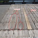 Close-up of the east end of the bridge deck showing degraded wood surfaces with dark staining and splitting, indicating long-term wear and exposure. Two of the planks are circled and labelled as loose planks, and one of the planks is labelled as a new plank.